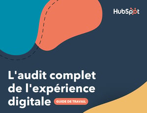 E-book Audit complet de l'expérience digitale