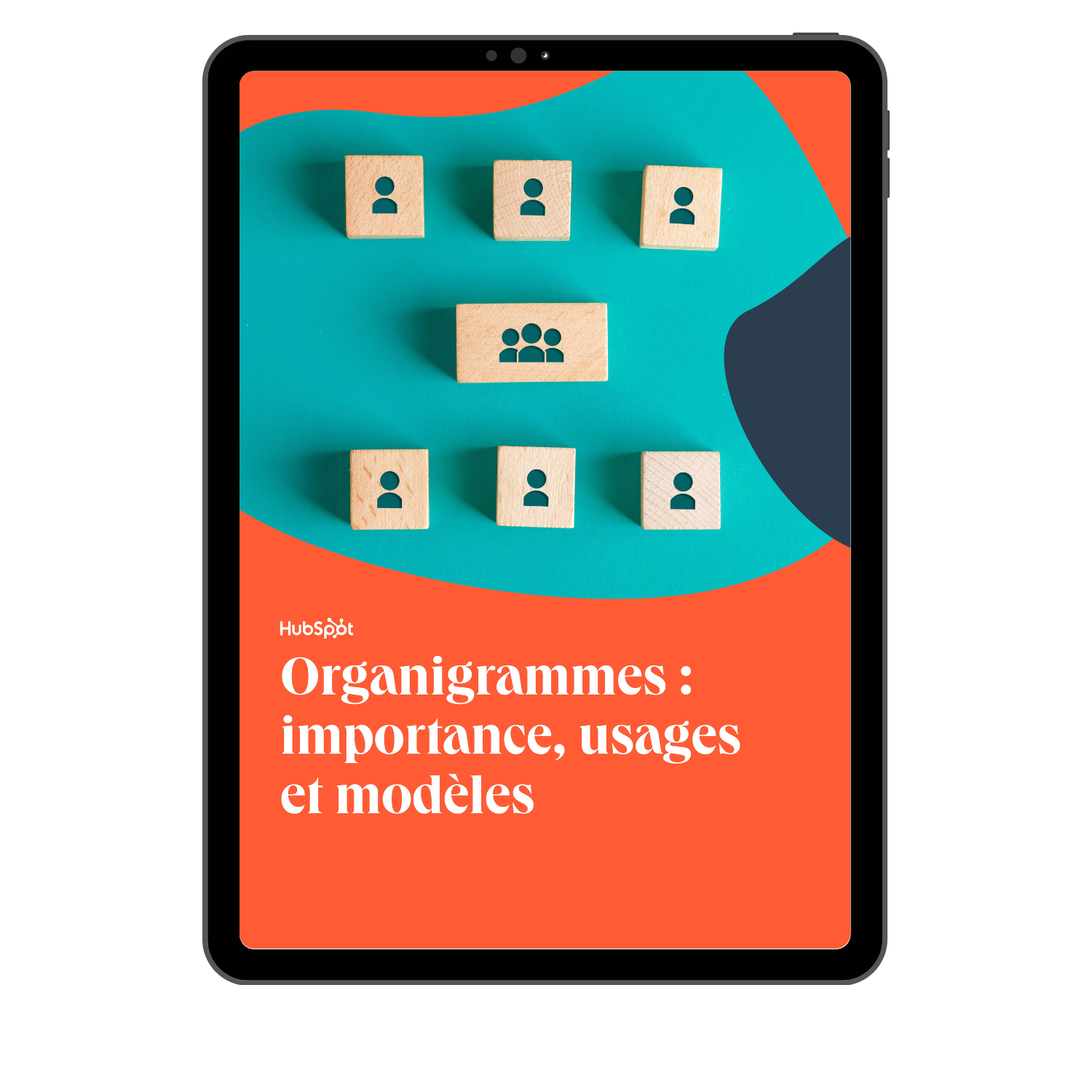 Organigrammes : importance, usages et modèles